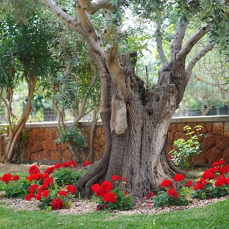 Ferienhaus Joan Mit Privatem Pool By Interhome