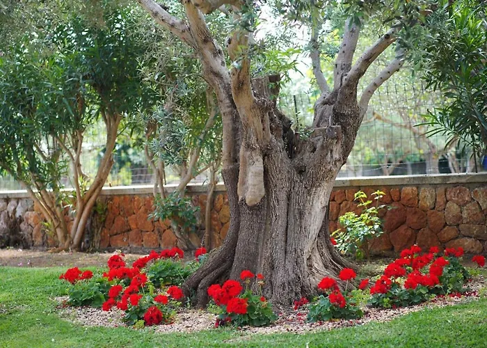 Ferienhaus Joan Mit Privatem Pool By Interhome